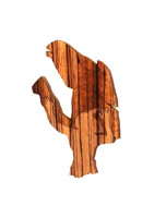 Show Your Spirit - Zebra