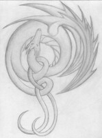 Curl Dragon