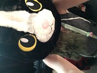 Hot topic sells mascot cat heads