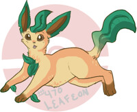 I has a leaf on my head