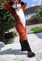 im sexy and you know it