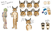 Rhody Idea Sheet (Updated 4/14)