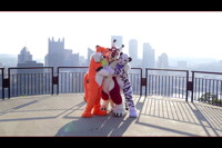 Grandview Overlook Pittsburgh