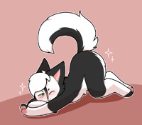Stretchy Kitty