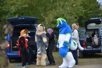 Suitwalk Loreley 03 Oct 2016