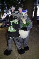 Front Yard With Coony