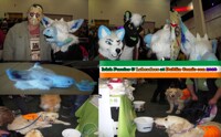 Irish Furries and Labradors at Dublin Comicon 2016.