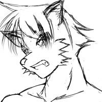 Wolf Head Practice