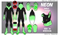 Neon Ref sheet