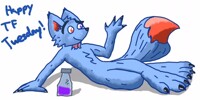 TF Friday pt. 1 Fox