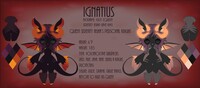 Ignatius [C]
