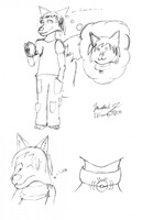 Buizel Transformation 1 [sketch]