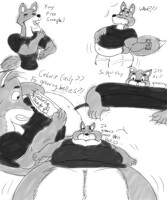 Calorie Candy Free Sample