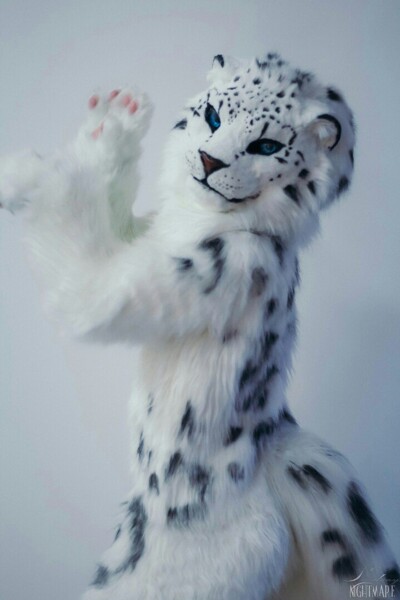 【Snow leopard】 21513893@600-1477256734.jpg