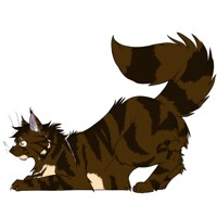 The Official Feathertail-Copyrighted Encyclopedia For Warrior Cats