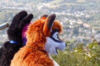 Look at dat view.