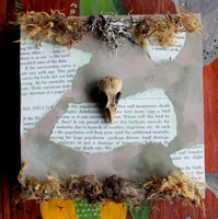 Wild Arts 6x6 2016 Artwork