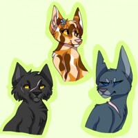Og thunderclan girls