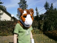 fursuit partial hybryd