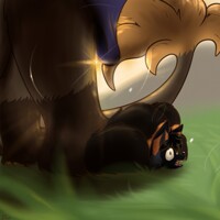 Run Foxeh Run 2