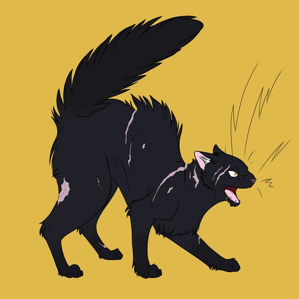 Warrior Cats FireStar by ABSCartoon18 -- Fur Affinity [dot] net