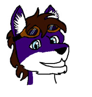 Zander drawn with a tablet