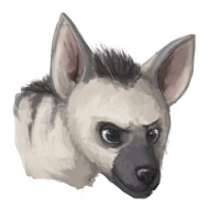 Aardwolf Sketch