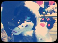 Happy Fursuit Friday~