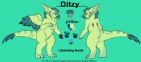 Ditzy The Dutch Angel Dragon