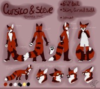 Cursico reference sheet
