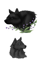Black Wolf