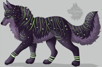 Feral Wolf Adopt
