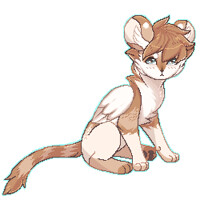little leo