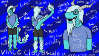 Vince Cloudscale Reference