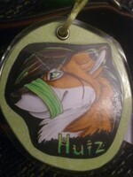 my badge on my collar