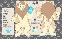 Ursso Reference Sheet