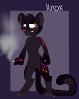 Knox