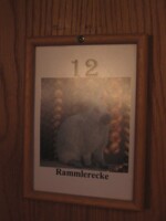 Rammlerecke