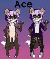 Ace the ferret - new fursona