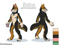 Ref: Echo