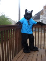 On the Deck