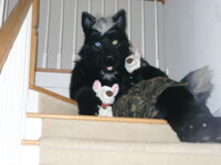 Me and the Bolts Again