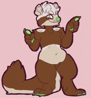 cii the tanuki! [AT]