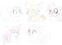 Foxes