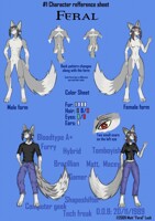Fursona refference sheet (Feral)
