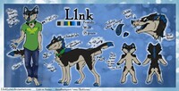 L1nk Reference Sheet 2017