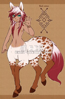 Appaloosa centaur adoptable - sold