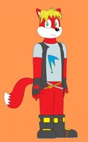 MaxWell the Fox