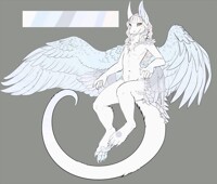 flying without wings~