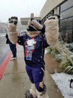 Midwest Furfest 13